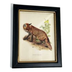 Darthome Limited Forest Fox Toile Framed Print -Darthome Limited IMG E1817copy