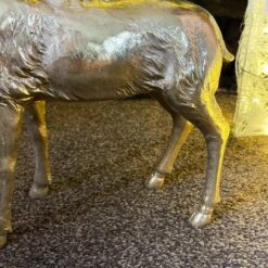 Darthome Limited Champagne Gold Stag Ornament 40x25x13cm 10 Darthome Limited Champagne Gold Stag Ornament 40x25x13cm -Darthome Limited IMG E1903