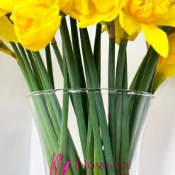 Darthome Limited Hand Painted Glass I Love You Mum Vase -Darthome Limited IMG E2643 0c441d89 fdeb 48c3 be56 7979260975d5