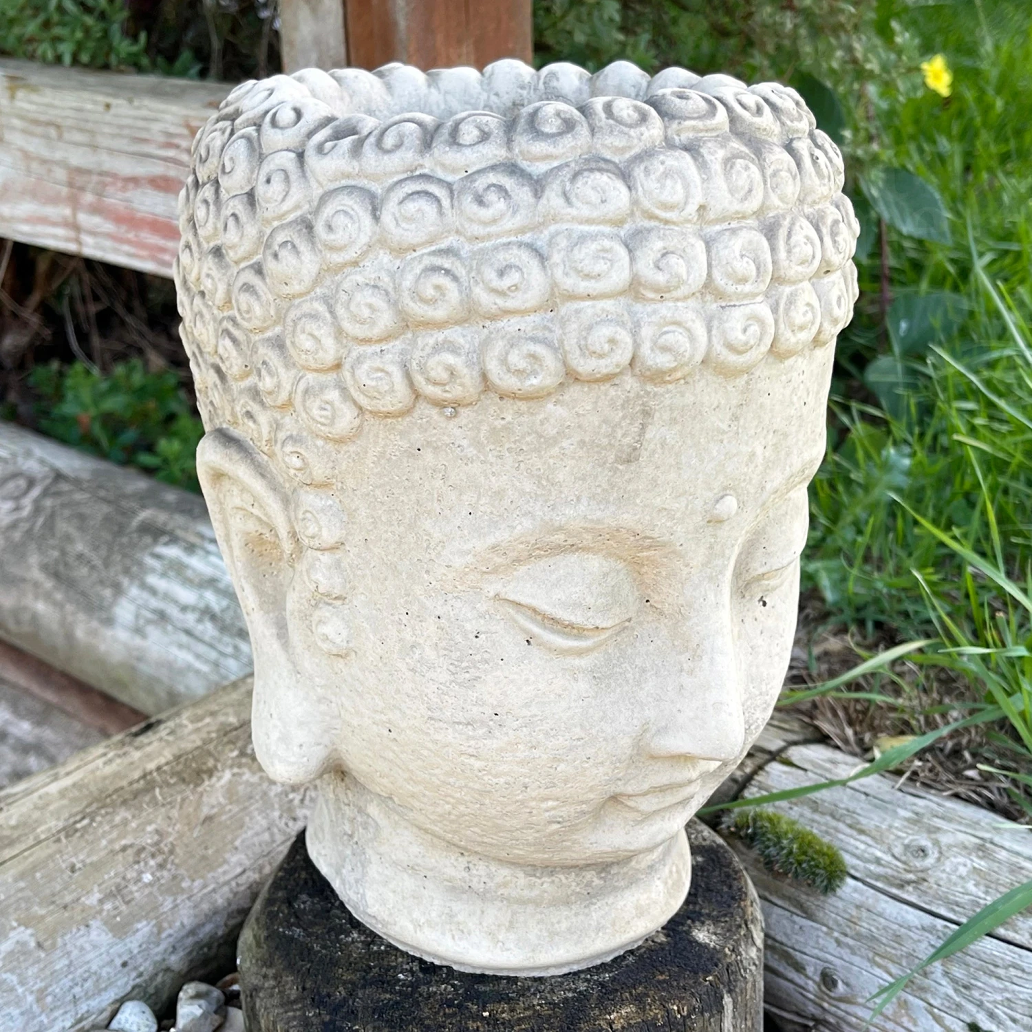 Darthome Limited Stone Buddha Head Planter 13x23cm 1 Darthome Limited Stone Buddha Head Planter 13x23cm