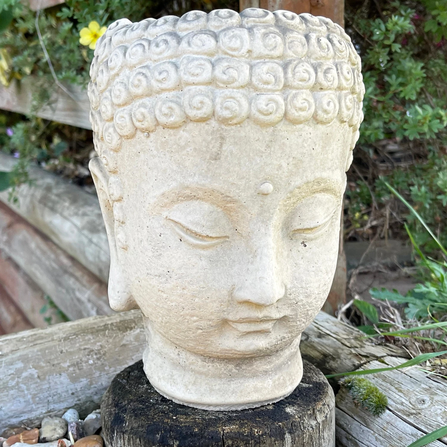 Darthome Limited Stone Buddha Head Planter 13x23cm 2 Darthome Limited Stone Buddha Head Planter 13x23cm - Image 2