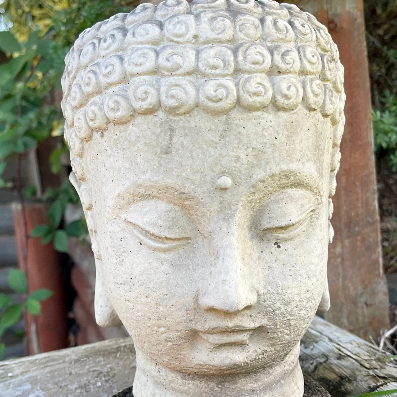 Darthome Limited Stone Buddha Head Planter 13x23cm 5 Darthome Limited Stone Buddha Head Planter 13x23cm - Image 5