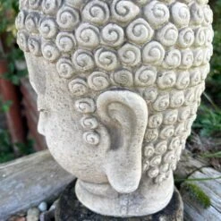 Darthome Limited Stone Buddha Head Planter 13x23cm 17 Darthome Limited Stone Buddha Head Planter 13x23cm -Darthome Limited IMG E2752