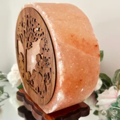 Darthome Limited Elephant Sunset Salt Lamp -Darthome Limited IMG E2973 78139ee6 e979 4260 a9f9 b9d026ec95ee