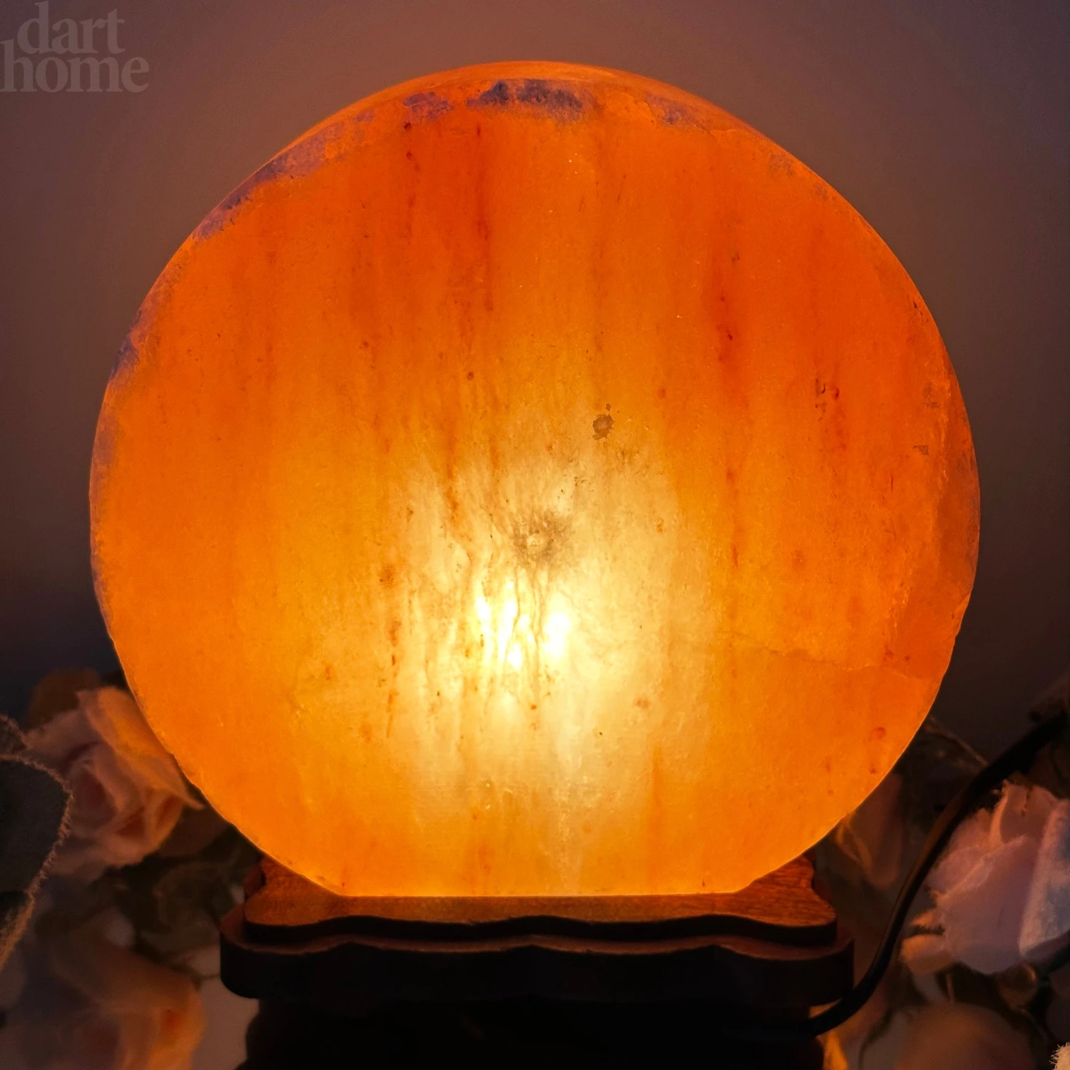 Darthome Limited Winter Stag Salt Lamp 3 Darthome Limited Winter Stag Salt Lamp - Image 3