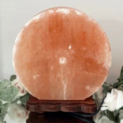 Darthome Limited Winter Stag Salt Lamp 15 Darthome Limited Winter Stag Salt Lamp -Darthome Limited IMG E2994 55f0e687 b8c0 4e38 a615 7eb17d9875bb