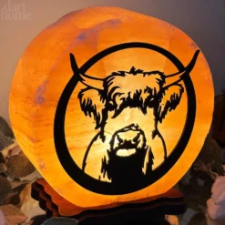 Darthome Limited Highland Cow Salt Lamp -Darthome Limited IMG E3002