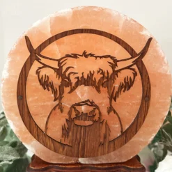 Darthome Limited Highland Cow Salt Lamp -Darthome Limited IMG E3008