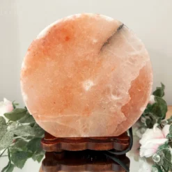 Darthome Limited Tree Of Life Salt Lamp -Darthome Limited IMG E3022