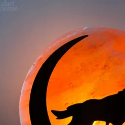 Darthome Limited Howling Fox Himalayan Salt Lamp 14 Darthome Limited Howling Fox Himalayan Salt Lamp -Darthome Limited IMG E3068 b439d7ef 64b3 4359 9baf 728a6c12a357