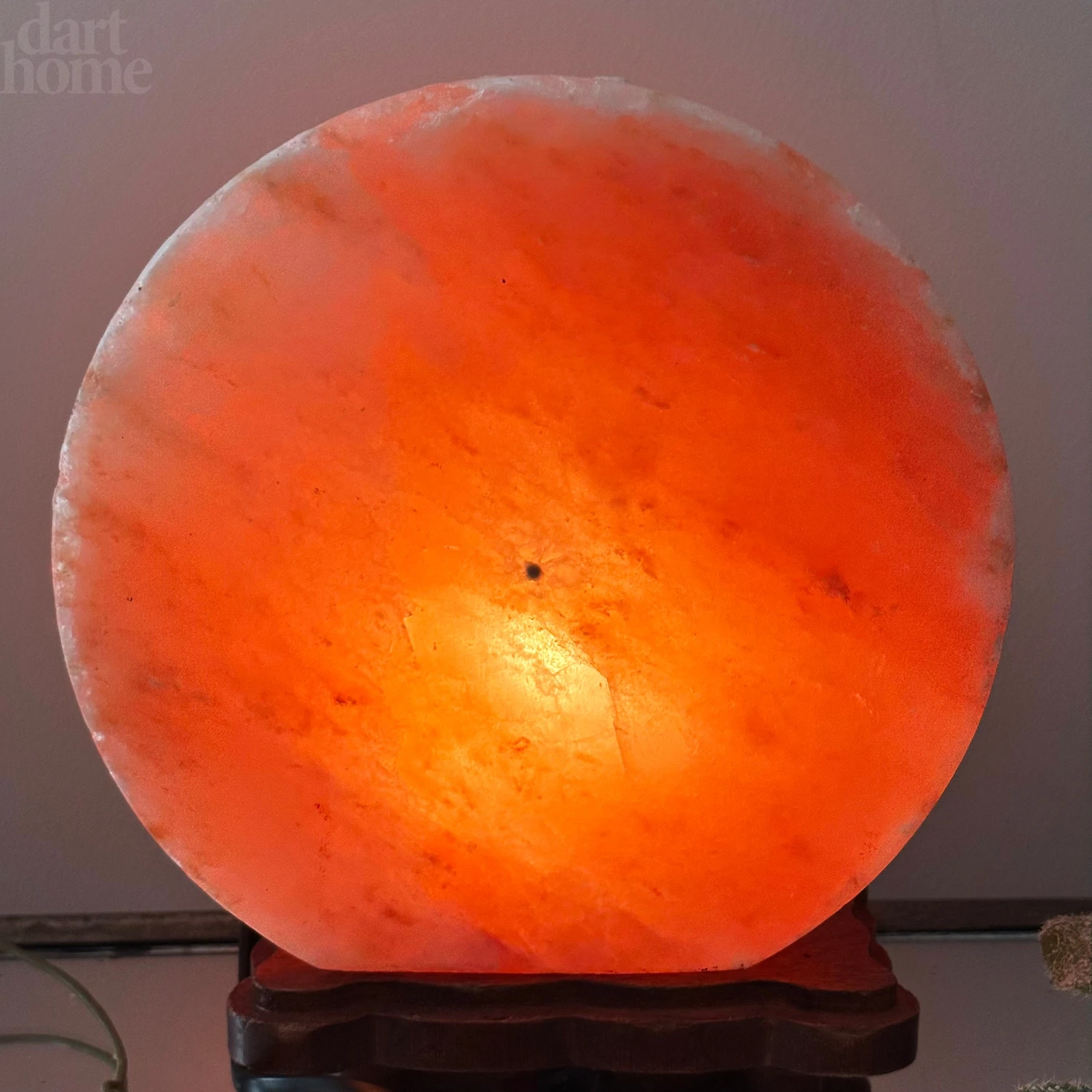 Darthome Limited Howling Fox Himalayan Salt Lamp 8 Darthome Limited Howling Fox Himalayan Salt Lamp - Image 8
