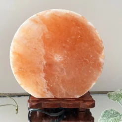 Darthome Limited Howling Fox Himalayan Salt Lamp 19 Darthome Limited Howling Fox Himalayan Salt Lamp -Darthome Limited IMG E3074 db3862aa 389f 4504 910a 479dedcb0989
