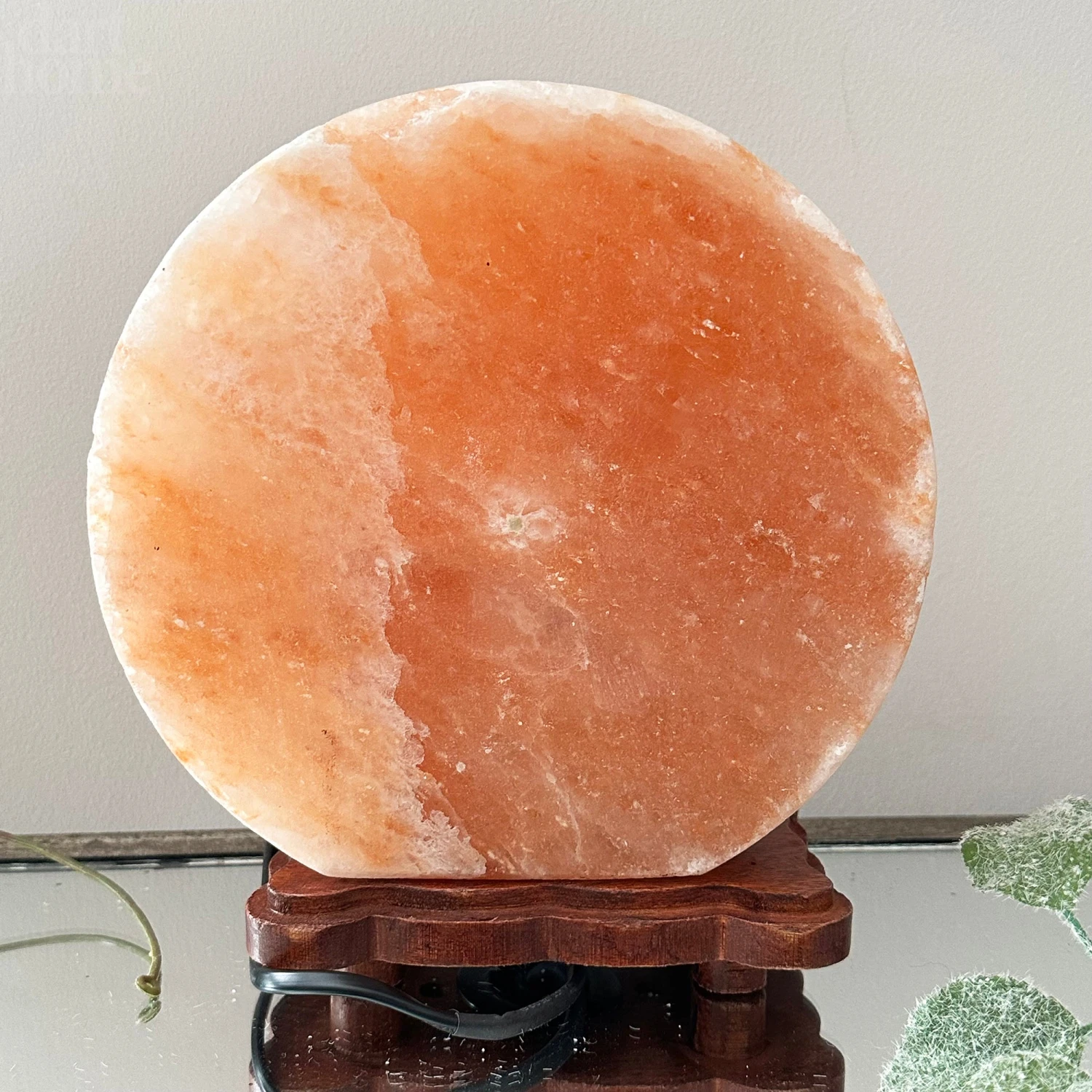 Darthome Limited Howling Fox Himalayan Salt Lamp 9 Darthome Limited Howling Fox Himalayan Salt Lamp - Image 9