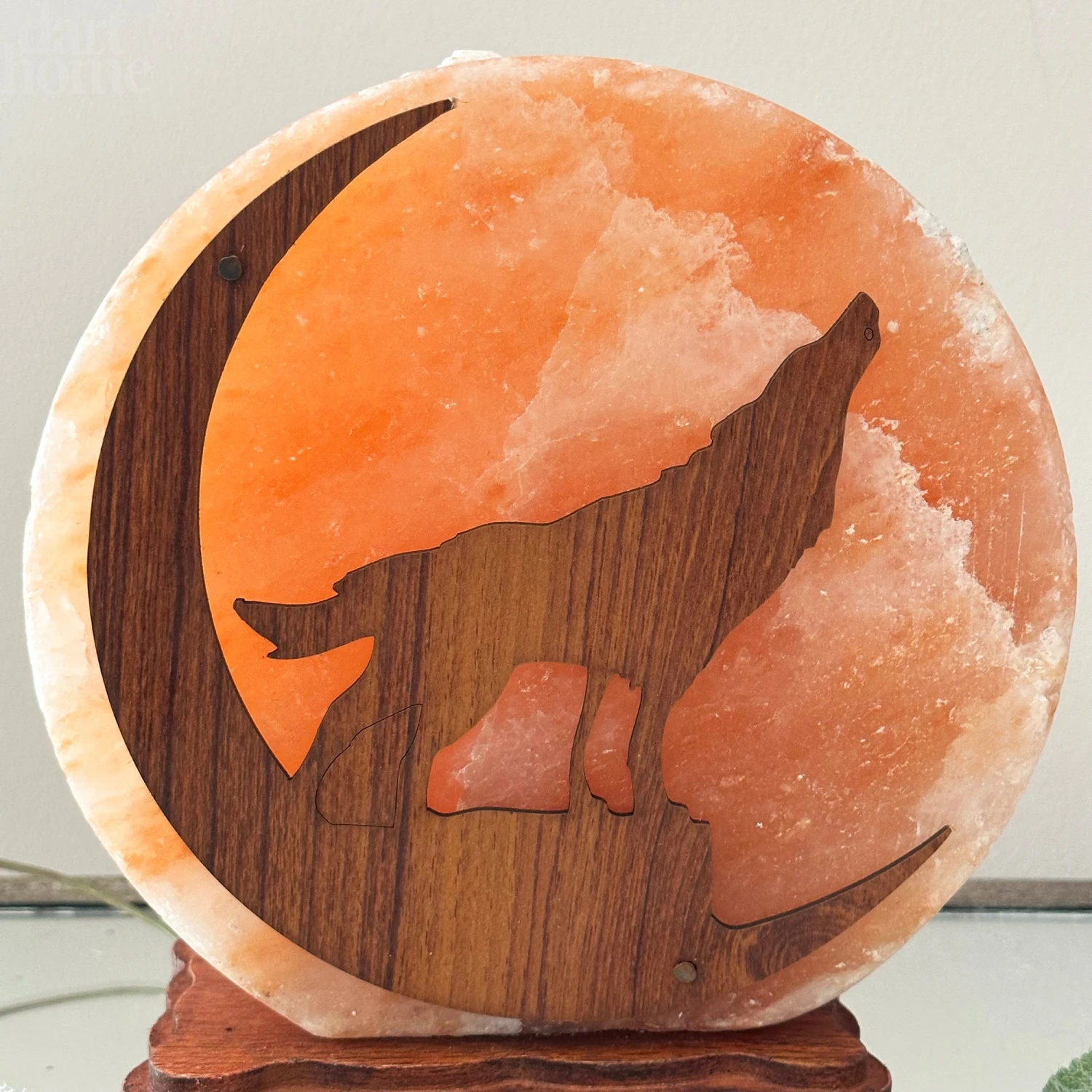 Darthome Limited Howling Fox Himalayan Salt Lamp 11 Darthome Limited Howling Fox Himalayan Salt Lamp - Image 11