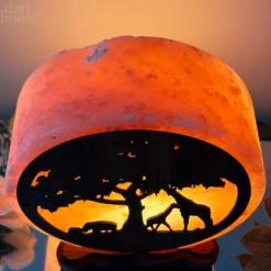 Darthome Limited Safari Animal Himalayan Salt Lamp -Darthome Limited IMG E3086
