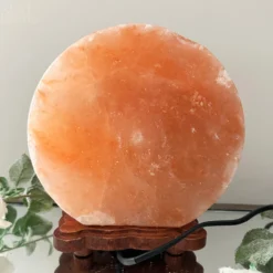 Darthome Limited Safari Animal Himalayan Salt Lamp -Darthome Limited IMG E3090