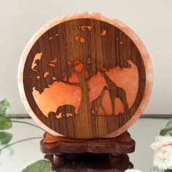 Darthome Limited Safari Animal Himalayan Salt Lamp -Darthome Limited IMG E3091