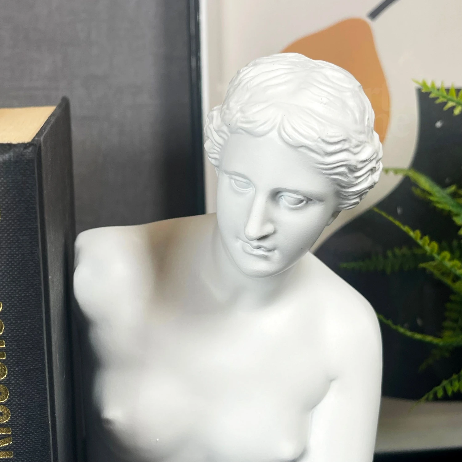 Darthome Limited White Roman Goddess Venus Bookends Set 3 Darthome Limited White Roman Goddess Venus Bookends Set - Image 3
