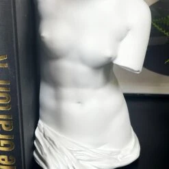 Darthome Limited White Roman Goddess Venus Bookends Set 10 Darthome Limited White Roman Goddess Venus Bookends Set -Darthome Limited IMG E3433