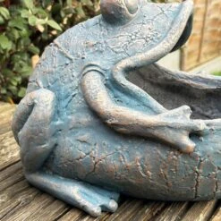 Darthome Limited Bull Frog Garden Planter -Darthome Limited IMG E3608