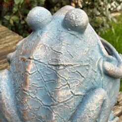 Darthome Limited Bull Frog Garden Planter -Darthome Limited IMG E3610