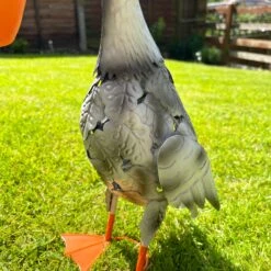 Darthome Limited Metal Pelican With Fish Garden Ornament 8 Darthome Limited Metal Pelican With Fish Garden Ornament -Darthome Limited IMG E3748 edited33