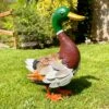 Darthome Limited Dark Brown Mallard Duck Garden Ornament