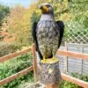 Darthome Limited Large Metal Hawk Garden Statue Large