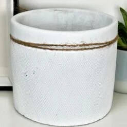 Darthome Limited Cement White Round Bee Pot -Darthome Limited IMG E4066 79017234 8d36 4cdd 8b20 0c9fe7b6becf