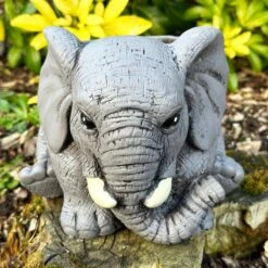 Darthome Limited Cement Elephant Planter 20cm -Darthome Limited IMG E4151