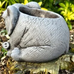 Darthome Limited Cement Elephant Planter 20cm -Darthome Limited IMG E4155