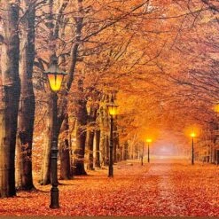 Darthome Limited Rectangular Autumn Avenue LED Canvas Wall Art 60cm -Darthome Limited IMG E4216 edited136