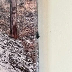 Darthome Limited Seashore Beach LED Canvas Wall Art 40x40cm -Darthome Limited IMG E4232 edited145