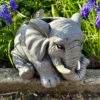 Darthome Limited Cement Elephant Planter 20cm