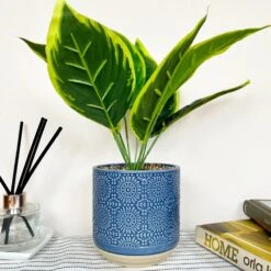 Darthome Limited Artificial Dieffenbachia Flower In Blue Pot 13 Darthome Limited Artificial Dieffenbachia Flower In Blue Pot -Darthome Limited IMG E4616 edited89