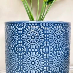 Darthome Limited Artificial Dieffenbachia Flower In Blue Pot 9 Darthome Limited Artificial Dieffenbachia Flower In Blue Pot -Darthome Limited IMG E4618 edited91