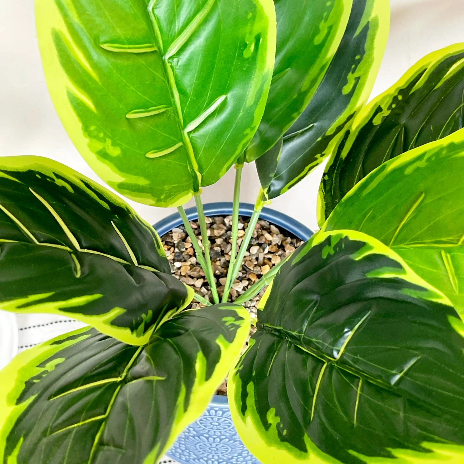 Darthome Limited Artificial Dieffenbachia Flower In Blue Pot 5 Darthome Limited Artificial Dieffenbachia Flower In Blue Pot - Image 5