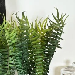 Darthome Limited Faux Potted Fern Plant In Terracotta Pot -Darthome Limited IMG E4668