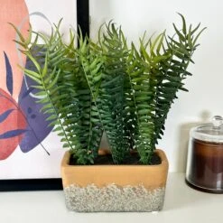 Darthome Limited Faux Potted Fern Plant In Terracotta Pot -Darthome Limited IMG E4672