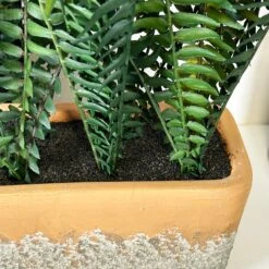 Darthome Limited Faux Potted Fern Plant In Terracotta Pot -Darthome Limited IMG E4673