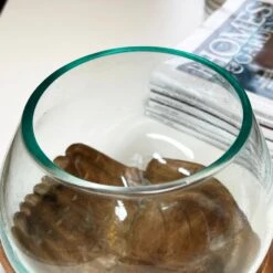 Darthome Limited Molten Glass Bowl With Hand Of Hope Teak Wood Stand -Darthome Limited IMG E4694