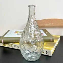 Darthome Limited Set Of 2 Large Clear Glass Vases- Bottles -Darthome Limited IMG E4785 edited133