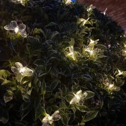 Darthome Limited 20 Butterfly Solar Outdoor String Lights 10 Darthome Limited 20 Butterfly Solar Outdoor String Lights -Darthome Limited IMG E5074 edited81