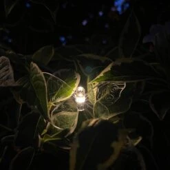 Darthome Limited 20 Butterfly Solar Outdoor String Lights 9 Darthome Limited 20 Butterfly Solar Outdoor String Lights -Darthome Limited IMG E5078 edited85