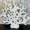 Darthome Limited White Resin Fire Coral Sculpture