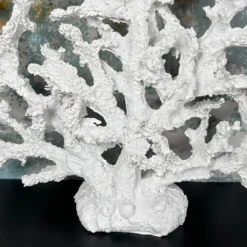 Darthome Limited White Resin Fire Coral Sculpture -Darthome Limited IMG E5149
