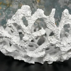 Darthome Limited Large White Coral Bowl 12 Darthome Limited Large White Coral Bowl -Darthome Limited IMG E5193