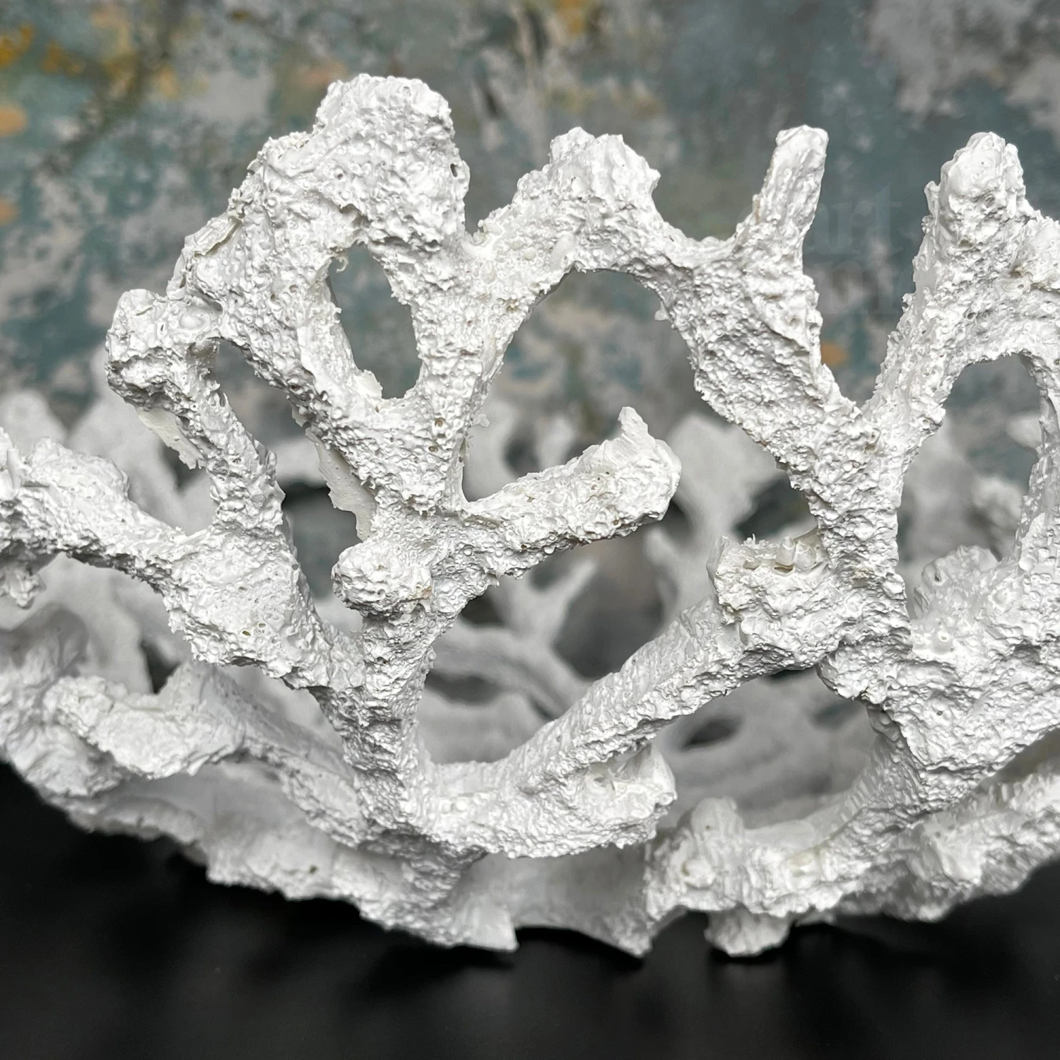 Darthome Limited Large White Coral Bowl 5 Darthome Limited Large White Coral Bowl - Image 5