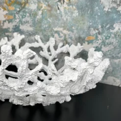 Darthome Limited Large White Coral Bowl 14 Darthome Limited Large White Coral Bowl -Darthome Limited IMG E5195