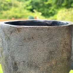 Darthome Limited Happy Monkey Head Planter -Darthome Limited IMG E5314 edited55